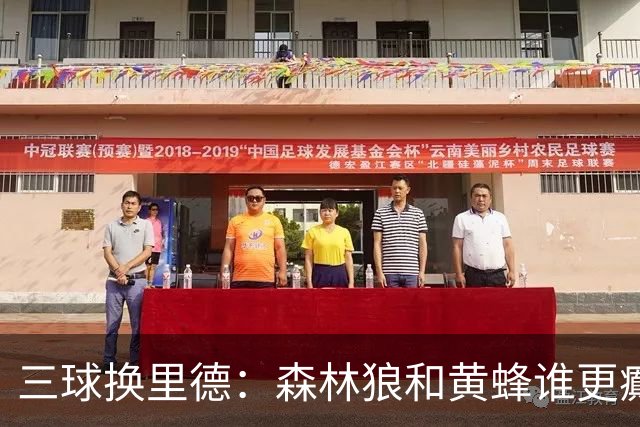 三球换里德：森林狼和黄蜂谁更癫？！